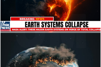NASA ALERT: These MAJOR Earth Systems on Verge of TOTAL COLLAPSE