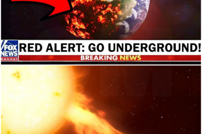 NASA PANIC: Carrington 2.0 Solar Storm Is Coming!