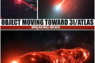 Harvard & NASA Warn a New Object Could Hit 3I/ATLAS – The Data Is Terrifying!