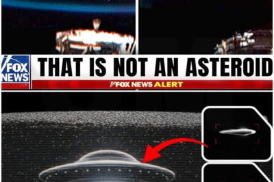 Astronomers Found The Origin Of ʻOumuamua.. They Are Gravely Concerned