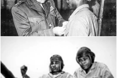 Patton Said “Send the 761 Blacks” — Rivers Opened Third Army’s Road Through the Line