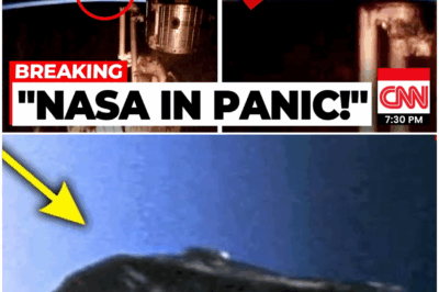 Voyager 1 just made an IMPOSSIBLE Encounter in Deep Space!