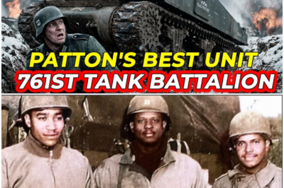 The Unwanted Black Tankers Who Saved The White Army