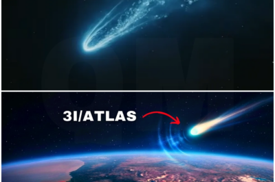 3I/ATLAS: Scientists Finally Figured Out What It Did to Earth – And It’s Terrifying