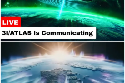 BREAKING: Alien Signal Detected During 3I/ATLAS’s Flyby – Scientists Are Sounding The Alarm