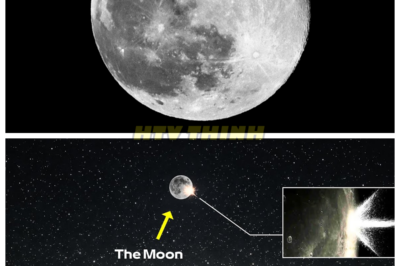 🙊 Impact on the Moon: A Shocking Collision Reveals Dark Secrets 🌑💥  In a stunning turn of events, astronomers captured a rare flash on the Moon caused by a small object impacting its surface at breakneck speed, potentially linked to debris from the Geminid meteor shower. As the world watches in awe, scientists scramble to analyze the implications of this celestial event, uncovering insights that could alter our understanding of lunar activity. But beneath the surface lies a chilling question: what if this impact is just the beginning? As researchers race against time to decode the data, they must confront the unsettling possibility that the Moon holds more secrets than we ever imagined. Are we prepared for the revelations that could emerge from this cosmic collision? 👇