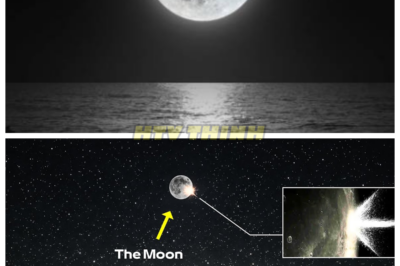 🙊 Something Crashed into the Moon: What Are They Hiding? 🌌🔎  A dramatic lunar flash caught on camera has sparked a frenzy of speculation and intrigue, as astronomers confirm that a small object collided with the Moon at extraordinary speed. This incident, possibly linked to the Geminid meteor shower, offers a rare glimpse into ongoing activity around our celestial neighbor. Yet, as scientists delve deeper into the implications, unsettling questions arise: what if this event is part of a larger pattern? With the potential for hidden dangers lurking just beyond our atmosphere, the urgency to uncover the truth grows. Are we on the brink of discovering something monumental, or are we merely scratching the surface of a cosmic mystery? 👇