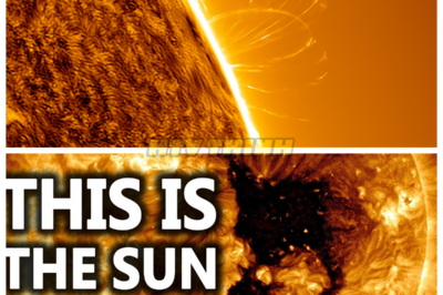 🙊 The Sun’s Dark Secret: A Magnetic Catastrophe Unleashes Chaos ☀️💔 In a shocking revelation, scientists announce that the Sun is losing plasma as a massive magnetic hole opens, threatening the delicate balance of our solar system. As researchers scramble to understand the implications of this unprecedented event, they uncover alarming evidence suggesting that the stability of Earth’s atmosphere may be at risk. With time running out, the world watches in fear as experts race against the clock to devise a solution before the consequences become catastrophic. What will happen if the Sun’s magnetic field continues to weaken? Are we prepared to face the fallout of this cosmic crisis, or will humanity be left in the dark? 👇