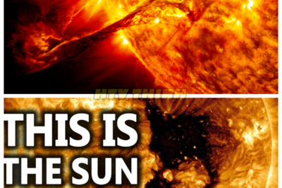 🙊 Solar Catastrophe: The Sun’s Plasma Crisis Could Change Everything 🌌⚠️ A terrifying cosmic phenomenon unfolds as astronomers reveal that the Sun is losing plasma due to a giant magnetic hole that has opened unexpectedly. As scientists delve deeper into this alarming situation, they realize the potential for widespread disruptions to Earth’s climate and technology. With every moment that passes, the ticking clock heightens the urgency for a response, leaving humanity on edge. What are the far-reaching effects of this magnetic anomaly, and can we avert disaster in time? The answers may hold the key to our survival in an increasingly unstable universe. 👇