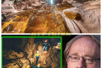 🙊 Amazon’s Hidden Vault: Unraveling the Mysteries of a Forgotten Civilization 🌌🗝️  Deep within the heart of the Amazon rainforest, a groundbreaking Lidar survey has revealed an astonishing truth: a buried city that challenges everything we thought we knew about ancient civilizations. As archaeologists break into a sealed chamber, they discover a meticulously arranged workshop filled with artifacts that hint at a highly advanced society, including magnetized stones and obsidian tools transported from distant lands. The walls tell stories of a cosmic catastrophe that nearly reset civilization, leaving behind a haunting legacy. With each revelation, the team races against time to piece together the history of this lost culture before the jungle reclaims its secrets. What drove these builders underground, and what horrors did they witness that forced them to vanish without a trace? 👇