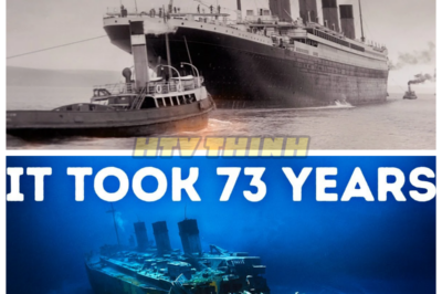 🙊 The Titanic’s Ghosts: Unraveling the Mystery of the Deep Sea Grave 🌌⚓  In a gripping tale of adventure and intrigue, the Titanic’s wreck has eluded discovery for decades, buried in the depths of the North Atlantic, where few dare to venture. As a team of determined explorers sets out to find the legendary ship, they confront not only the harsh realities of deep-sea exploration but also the haunting legacy of those who perished aboard. With time running out and the ocean’s secrets threatening to remain forever buried, they must navigate a treacherous path filled with unexpected challenges and eerie phenomena. As they draw closer to the truth, the question looms: what horrors and mysteries await them in the cold, dark depths, and will they be prepared for the answers they uncover? 👇