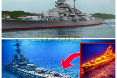 🙊 Echoes of the Bismarck: A Chilling Discovery Beneath the Waves ⚓🕵️‍♂️  In a groundbreaking exploration, a submarine drone has revealed a startling truth about the Bismarck, once thought to be a mere relic of history resting quietly on the ocean floor. Inside the wreck, a sealed chamber emits heat and a haunting SOS signal, suggesting that the ship’s legacy is far from over. As researchers examine the strange polymer residue and uncover records of thirty-two missing civilian specialists, they must grapple with the terrifying implications: was the Bismarck hiding advanced technology, or has it become a vessel for something far more dangerous? With each passing moment, the tension mounts, and the team faces a race against time to uncover the truth before they disturb whatever dark forces may still linger within the armored citadel. What horrors await them in the depths, and will they survive to tell the tale? 👇