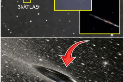 3I/ATLAS Just Executed a Reverse Burn — The Greatest Anomaly Ever Recorded