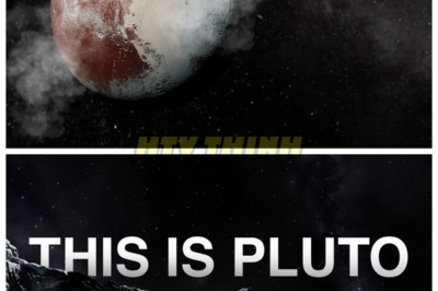 🙊 Pluto Revealed: The Shocking Truth Behind NASA’s Discoveries 🌌🔍 What if everything we thought we knew about Pluto was wrong? In a groundbreaking revelation, NASA’s latest findings from the icy frontier of our solar system have shattered long-held beliefs, unveiling a world far more complex and intriguing than previously imagined. As scientists delve into the data collected from recent missions, they uncover astonishing geological features and potential signs of life, raising urgent questions about the nature of this distant dwarf planet. With each discovery, the clock ticks down on our understanding of the universe, leaving us to ponder: what else lies hidden in the vast darkness of space, waiting to be uncovered? Will these revelations redefine our place in the cosmos, or will they lead to more unsettling mysteries? 👇
