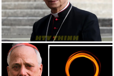 🙊 The Dark Revelation: Pope Leo Unveils the Truth of the 3 Days of Darkness 🔦🌑 In a stunning announcement that has sent shockwaves through the faith community, Pope Leo reveals the harrowing truth behind the prophecy of the 3 Days of Darkness, a chilling event foretold to envelop the world in despair. As believers brace for the impending darkness, the clock is ticking, and the stakes have never been higher. The revelation promises not only to shatter long-held beliefs but also to challenge the very foundations of faith as humanity confronts its deepest fears. What sacrifices will be required to endure this spiritual trial, and who will emerge unscathed from the shadows? As the world holds its breath, the haunting question remains: are we prepared for the darkness that lies ahead? 👇