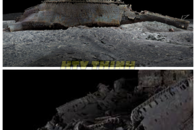 🙊 Titanic Unearthed: The Dark Secrets of the Ocean’s Depths 🌌🔦 After 113 years submerged in the icy depths, the Titanic has resurfaced, revealing chilling truths that have long remained hidden. This riveting documentary follows the extraordinary salvage operation that not only recovers the legendary ship but also delves into the intricate restoration process that breathes life back into history. As the wreck is examined, eerie artifacts emerge, each piece a fragment of a tragic narrative that begs to be told. With time running out to uncover the ship’s secrets, viewers are left to ponder: what really happened on that fateful night, and what will these revelations mean for our understanding of maritime history? Will the Titanic’s haunting legacy finally be laid to rest, or will new questions arise from the depths? 👇