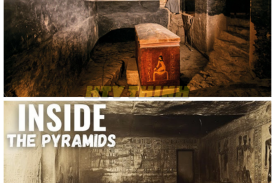 🙊 The Chamber of Secrets: What Lies Within Egypt’s Great Pyramid? ⚰️🔍 In an extraordinary archaeological feat, a hidden chamber within Egypt’s Great Pyramid has been unlocked, offering a glimpse into a world lost to time. This sealed room, untouched for thousands of years, is poised to challenge everything we know about ancient Egypt. As archaeologists gear up to investigate, they face the daunting reality of what this discovery could mean for historical narratives and their own safety. With each moment that passes, the urgency grows—will they uncover invaluable knowledge or unleash ancient curses that should remain buried? What truths will emerge from the shadows of the past, and will they be prepared for the revelations that await? 👇