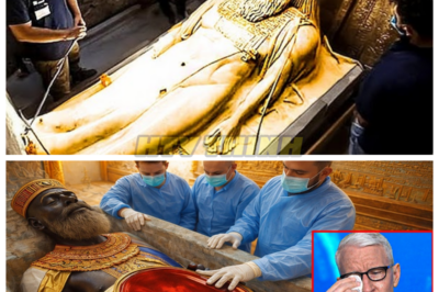 🙊 Secrets of King Solomon’s Tomb: Unveiling the Darkness Beneath Jerusalem 🏺💀  After three millennia of silence, a rainstorm has unearthed the long-lost tomb of King Solomon, the legendary monarch whose wisdom and wealth have captivated humanity for centuries. As archaeologists venture into the newly revealed tunnels beneath Jerusalem, they uncover man-made chambers and a sealed entrance untouched by time, raising the stakes of this historic find. With each step deeper into the darkness, the team grapples with the terrifying possibility that the secrets buried with Solomon could rewrite history as we know it.  What horrors await them in the darkness, and could this discovery change our understanding of history forever? 👇