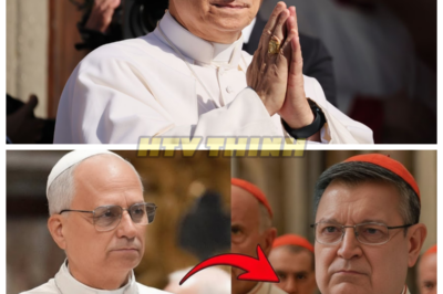 🙊 The Vatican’s Dark Secret: Cardinal Burke Defies Pope Leo XIV’s Silence 🔪🕵️♂️ When Pope Leo XIV commands Cardinal Raymond Burke to remain silent about the Third Secret of Fatima, many believe the matter is closed. However, in a dramatic turn of events, Burke delivers a final homily that reveals shocking truths about the Church’s current crisis and the warnings of Fatima. His courageous defiance resonates beyond the Vatican walls, igniting a global movement that questions the very foundations of faith in a world increasingly abandoning God. As the faithful rally around Burke’s message, the Pope’s unexpected response raises urgent questions about the future of Catholicism. Will this confrontation lead to a revival of faith, or will it fracture the Church irreparably? 👇