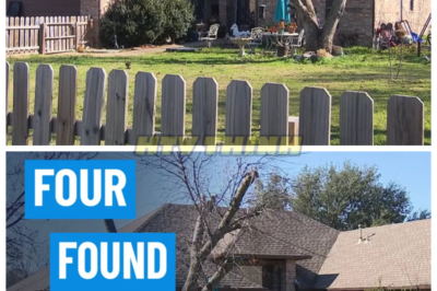 🙊 Christmas Horror: Unraveling the Dark Mystery of Four Lives Lost in Terrell 🎅🔪 On a night meant for celebration, a dark cloud descends over Terrell as four lives are discovered lifeless in a home, sending shockwaves through the North Texas community. As local authorities sift through the remnants of this horrific scene, the eerie silence of the holiday season is pierced by the haunting questions of how and why this tragedy occurred. With the investigation unfolding in real time, the ticking clock adds a layer of urgency to the search for answers, as loved ones mourn and the public clamors for clarity. What secrets lie buried within the walls of that home, and how will the revelations reshape the lives of those left behind? As the pieces of this chilling puzzle come together, one unsettling thought remains: could this tragedy have been prevented? 👇