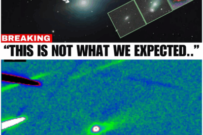 3I/ATLAS Update: New Images from Spain, Thailand & Norway Show Something IMPOSSIBLE