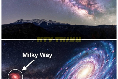 🙊 Beyond the Cosmic Abyss: The Terrifying Truth of IC 1101’s Secrets Unveiled 🔍⚡ In a universe where the unimaginable lurks, the discovery of IC 1101—a galaxy so vast it swallows the Milky Way a hundred times over—unleashes a chilling exploration of cosmic terror. As astronomers delve into its depths, they uncover a supermassive black hole at its core, a monstrous entity fifty billion times heavier than our Sun, casting an ominous shadow on humanity’s understanding of existence. With time running out, a team of scientists must confront the reality of what it means for our place in the cosmos, as they grapple with the terrifying implications of galaxies colliding and merging. As they race against an unseen force, the question looms: what ancient horrors lie within the fabric of IC 1101, waiting to be unleashed upon an unsuspecting world? The clock ticks, and the cosmos may not be as empty as it seems. 👇