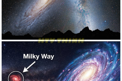 🙊 Galactic Shadows: The Dark Enigma of IC 1101’s Core Uncovered 🔪🗝️  In an age where the boundaries of space and time blur, the revelation of IC 1101—a colossal galaxy that dwarfs our own—sparks an unnerving investigation into the universe’s darkest secrets. As researchers uncover its staggering scale and the monstrous supermassive black hole at its heart, they find themselves racing against a cosmic clock that threatens to unravel the very fabric of reality. Each discovery brings them closer to a terrifying truth: the merging of galaxies may not just reshape the cosmos but also awaken ancient forces that could spell doom for humanity. As they face the chilling consequences of their findings, one haunting question emerges: are we truly alone in this vast, dark universe, or are we merely pawns in a game far beyond our comprehension? The countdown has begun, and the darkness beckons. 👇