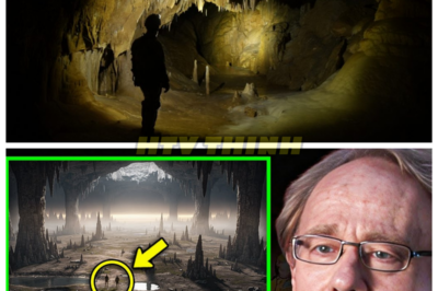 🙊 Beneath the Surface: The Cave That Defies Reality and Nature 🌌🌪️ In a remote corner of southwest China, a team of elite explorers descends into a cavern so vast it creates its own weather system, blurring the lines between reality and the surreal. As they venture deeper into this uncharted darkness, they confront not only the physical dangers of the abyss but also the psychological horrors lurking within. With advanced scanning technology revealing hidden worlds, the explorers race against time to uncover the cave’s secrets—secrets that could alter humanity’s understanding of nature itself. As they navigate this haunting landscape, they must grapple with the question: what price will they pay for knowledge that may be better left buried? The deeper they go, the more they realize that some discoveries are meant to remain hidden. 👇
