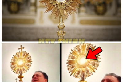 🙊 The Unseen Horror: When Faith Meets the Unexplainable in Bogotá’s Church 🔍⚡  In the heart of Bogotá, during a serene Eucharistic Adoration, a routine moment of prayer spirals into a chilling encounter that leaves a priest shattered and the congregation questioning their faith. As the altar becomes the epicenter of an inexplicable phenomenon, the atmosphere thickens with tension, drawing the faithful into a web of fear and awe. With each passing moment, the clock ticks down to an uncertain revelation, forcing individuals to confront their deepest beliefs and the fragility of reality itself. As whispers of doubt and disbelief echo through the church, one haunting question lingers: what happens when the ordinary becomes extraordinary, and faith is confronted by the unfathomable? 👇