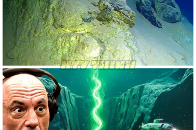 🙊 The Abyss Beckons: A Race Against Time and Nature’s Fury 🔪🗝️ As nations scramble to control the Mariana Trench—a dark, uncharted territory now teeming with life and untold riches—an elite team of researchers stumbles upon a groundbreaking discovery: microbes that could unlock near-infinite energy and cure diseases, but at a potentially devastating cost. With the geopolitical landscape shifting and the threat of war looming, these scientists must navigate treacherous waters where betrayal and ambition threaten to drown them. As they delve deeper into the abyss, each revelation brings them closer to a terrifying truth that could either save humanity or plunge it into chaos. With time running out and the stakes higher than ever, will they uncover the secrets of the deep before it’s too late, or will their quest for knowledge lead to their demise? What will they sacrifice to harness the power hidden beneath the waves? 👇