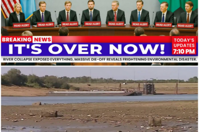 Mississippi River Is Drying Up At A Terrifying Rate — US Is Paying The Price For Its Insane Projects