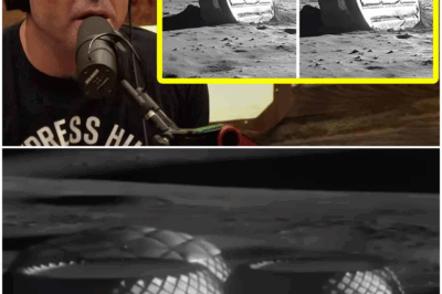 So China Found Something on the Moon… and It Changes Everything | Joe Rogan