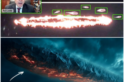 THE TRUTH HAS FINALLY ERUPTED: 5 mini probes have just been detected near 3I/ATLAS in a series of top‑secret images, sparking an urgent warning to “prepare the public now”