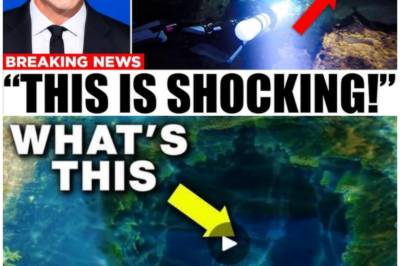 🦊 DESCENT INTO THE ABYSS: An Underwater Drone Plunges Into Jacob’s Well — What the Camera Captured Was NOT Meant to Be Seen 🌊
