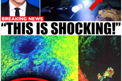 🦊 “TURN IT OFF”: Footage From Deep Inside Jacob’s Well Sends Scientists Into Immediate Panic ⚠️