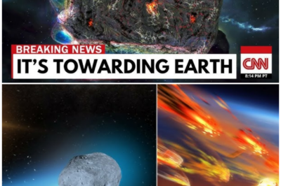 🦊 Massive Uproar Erupts After Confidential Data on Comet Atlas Surfaces—Insiders Suggest the Public Has Only Heard a Fraction of the Truth 😱🌌