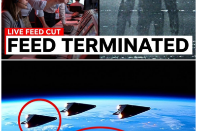 🦊 LIVE SIGNAL CUT WITHOUT WARNING: THE MOMENT NASA WENT DARK AND VIEWERS WERE LEFT STARING AT THE UNTHINKABLE 🚨