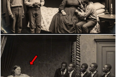 Her Father Gave Her Slaves for a Birthday Gift — What She Did With Them Still Haunts the Swamp