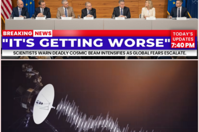 After 47 Years of Silence, Voyager 2 Finally Responded — But Its Message Isn’t Human… and Scientists Are Panicking.