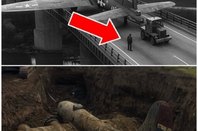 WWII PLANE VANISHED IN 1945 — 80 YEARS LATER, PRESIDENT TRUMP MADE A SHOCKING DISCOVERY…
