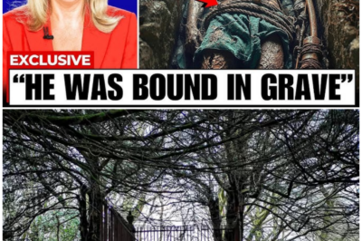 🦊 THE KING OF OUTLAWS EXPOSED: WHAT RESEARCHERS FOUND IN ROBIN HOOD’S GRAVE COULD SHOCK HISTORY FOREVER 🔥🗡️