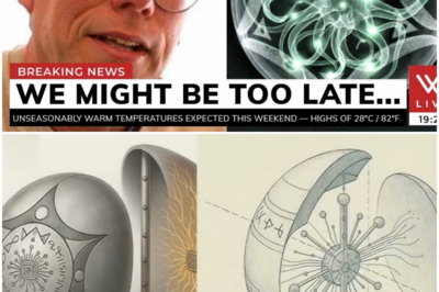 X-Ray Reveals Impossible Interior of Sphere—Is This Alien Technology?