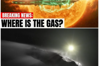 🦊 THE INVISIBLE ANOMALY: Scientists STUNNED as 3I/ATLAS Speeds Up While Its Latest Photos Show a TERRIFYING BLANK VOID 🌑