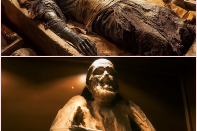 Mummy Wrapped in Mystery: DNA Doesn’t Match Any Known Species