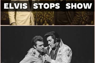 When Elvis Stopped the Show: The Night a Heckler Became a Friend