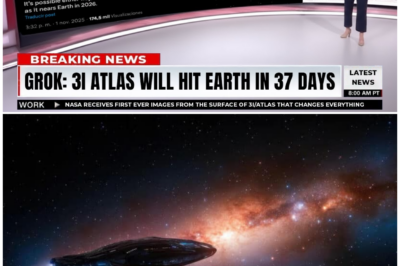 🦊 AI PANIC ALERT: Leaked Grok 4 Simulation Claims 3I/ATLAS Is on a TERRIFYING Trajectory—Officials SILENT 🚨
