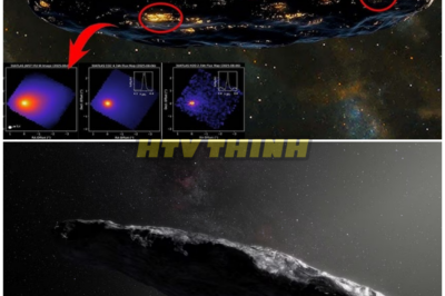🦊 Cosmic Mystery Unfolds: 3I/ATLAS Torn Apart in Orbit—The Missing Half Sparks Panic, Conspiracy, and Unthinkable Questions 🚀