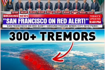 San Andreas Fault Awakens: Megaquake Risk Rising Fast, Experts Stunned!