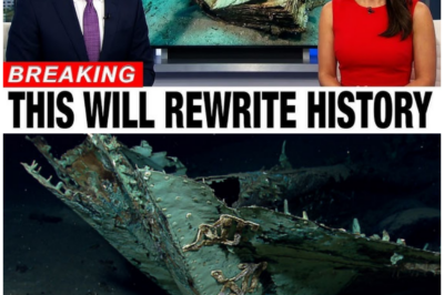🦊 ANCIENT SECRETS RISE FROM THE DEEP: 5,000-YEAR-OLD BOOK DISCOVERED IN THE GULF OF MEXICO THAT COULD REWRITE HISTORY 📜🌊