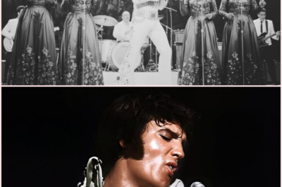 The Night Elvis Stood Up: How One Concert Changed History Forever